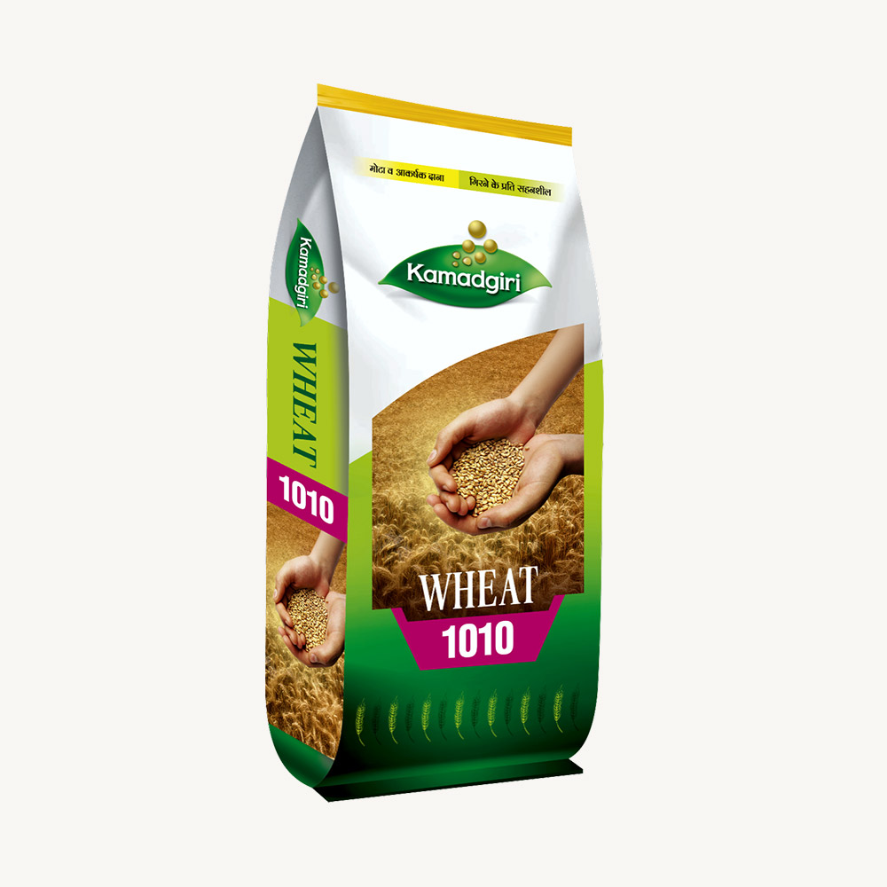Research Wheat Seed 1010