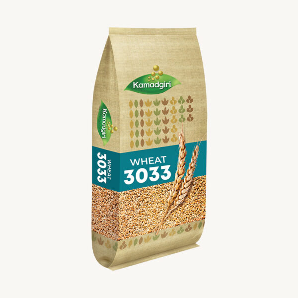 Research Wheat Seed 3033