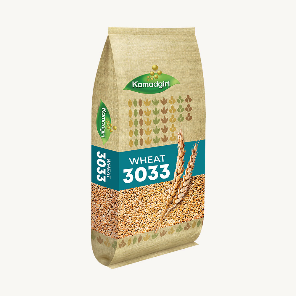 Research Wheat Seed 3033
