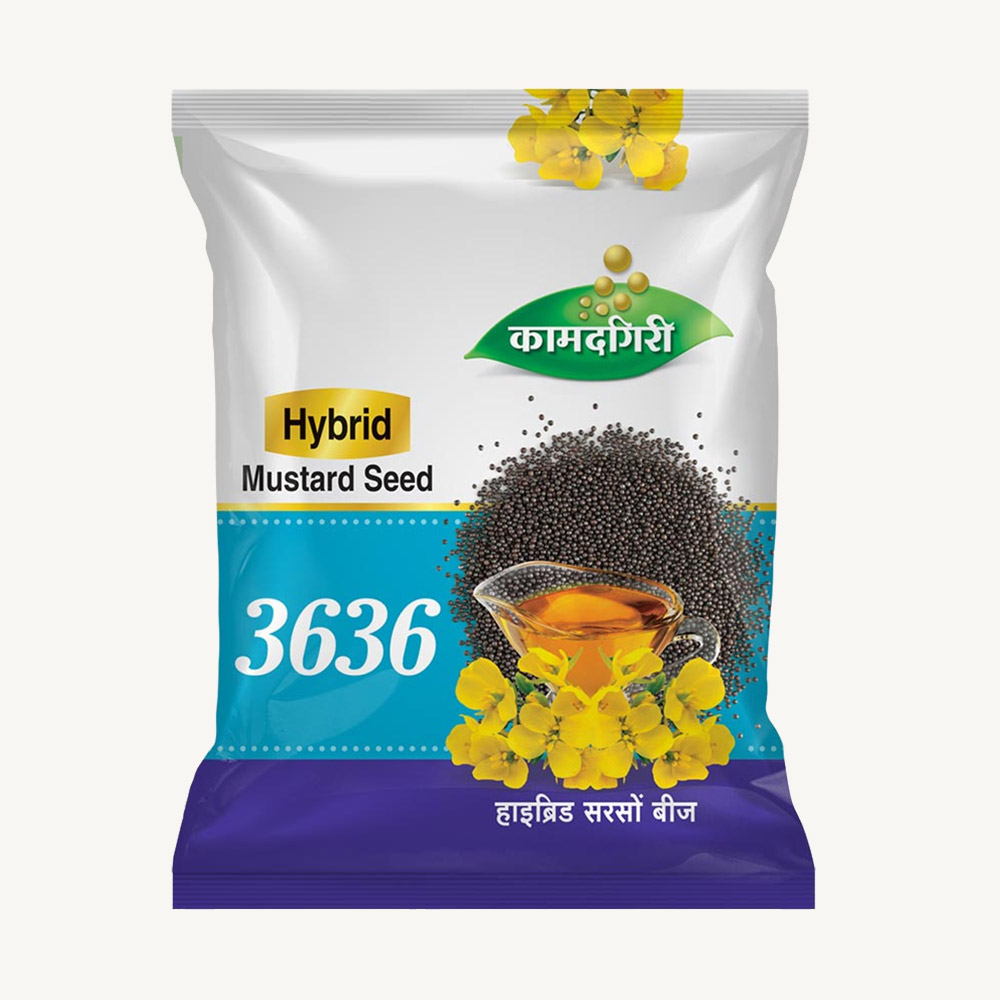 Hybrid Mustard Seed 3636