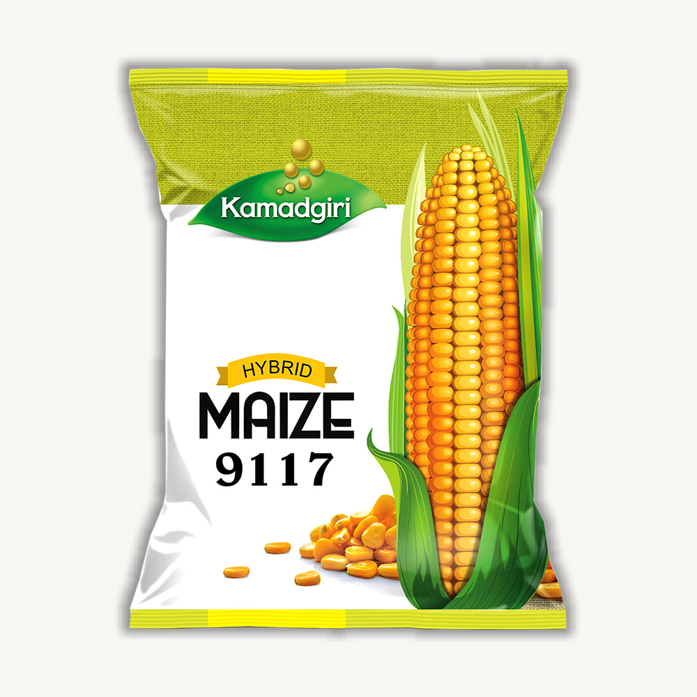 Summer 9117