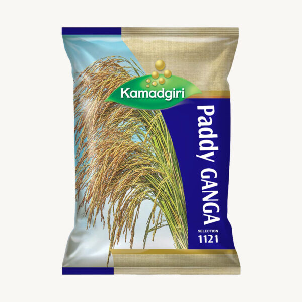 Paddy Seed Ganga