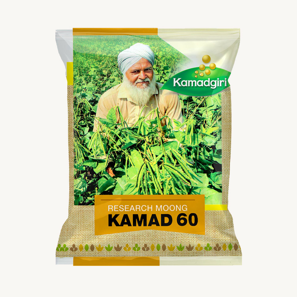 Research Moong Kamad 60