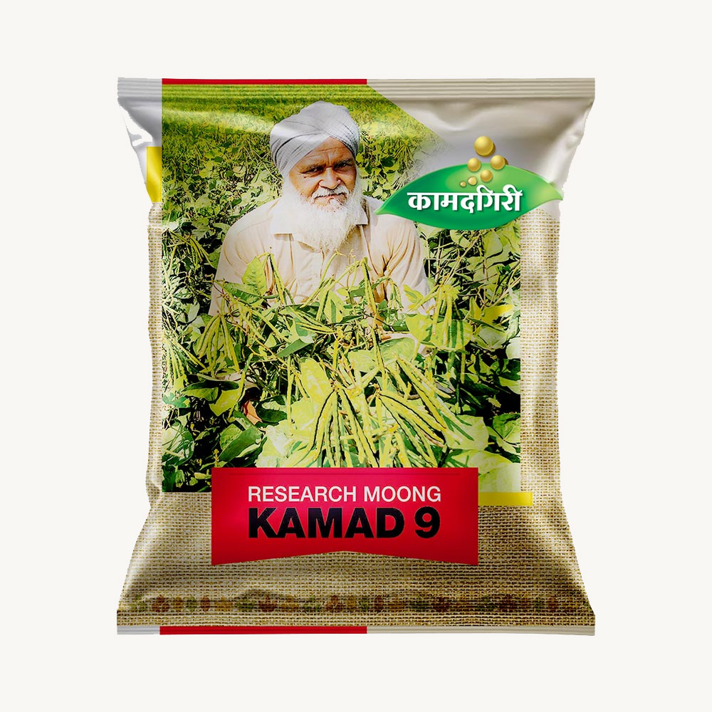 Research Moong Kamad 9