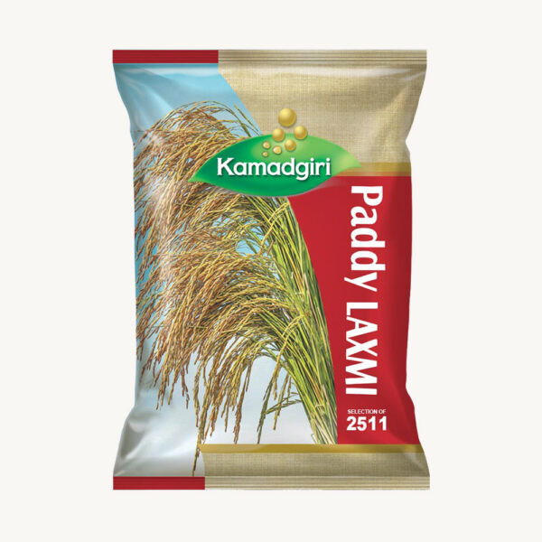 Paddy Seed Laxmi