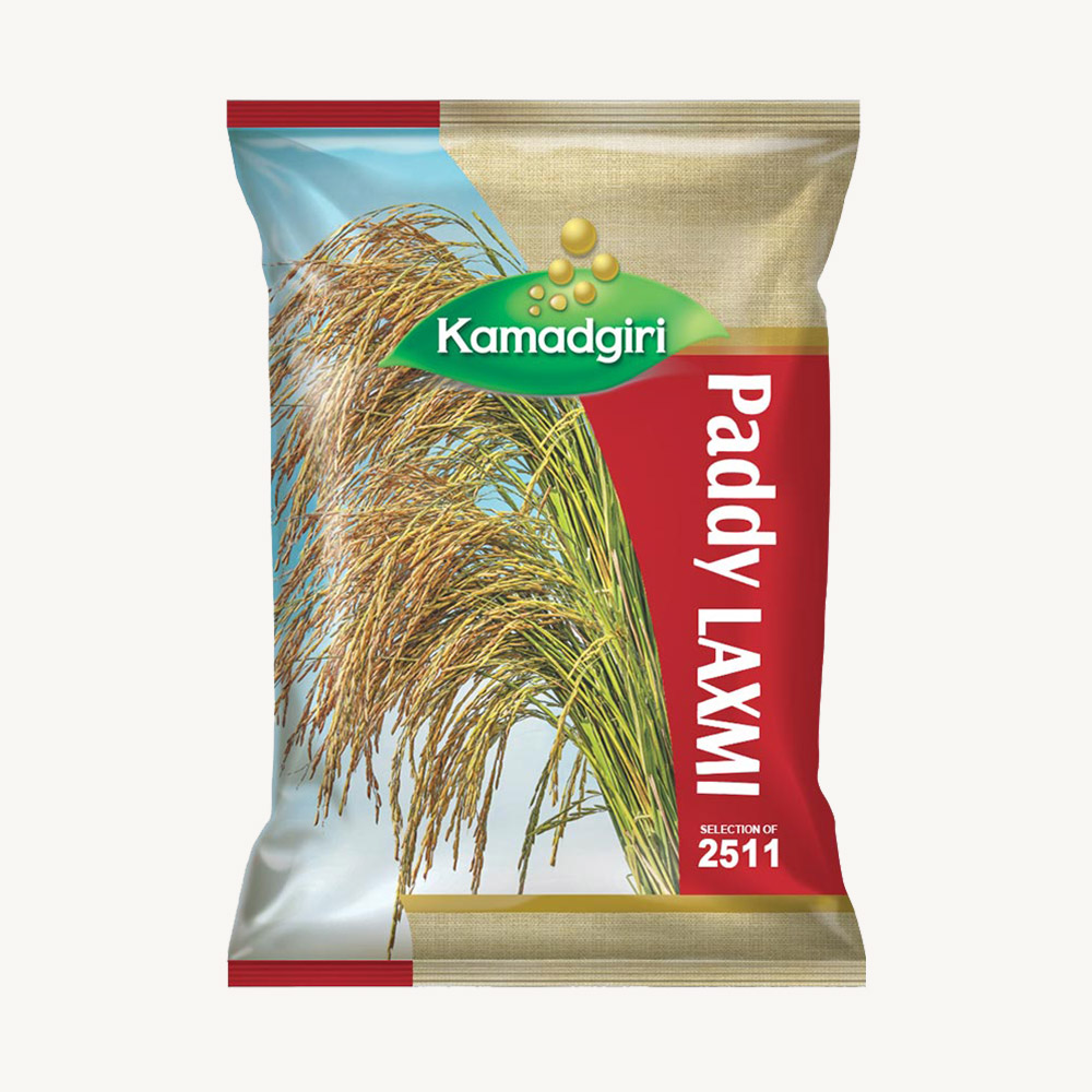 Paddy Seed Laxmi