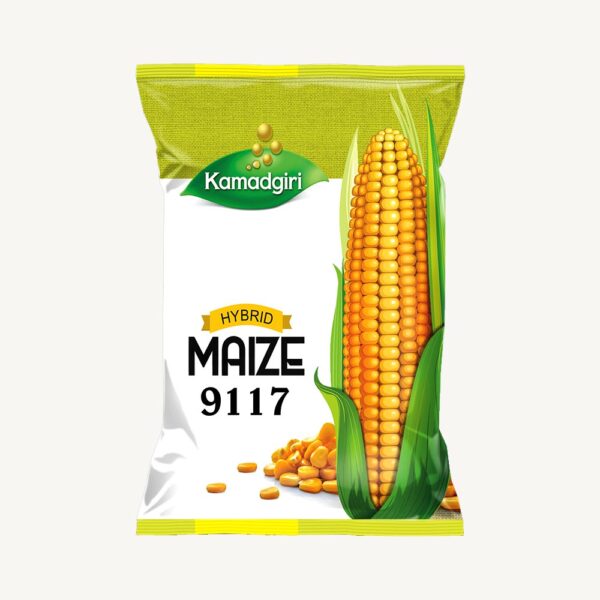 Hybrid Maize Seed 9117