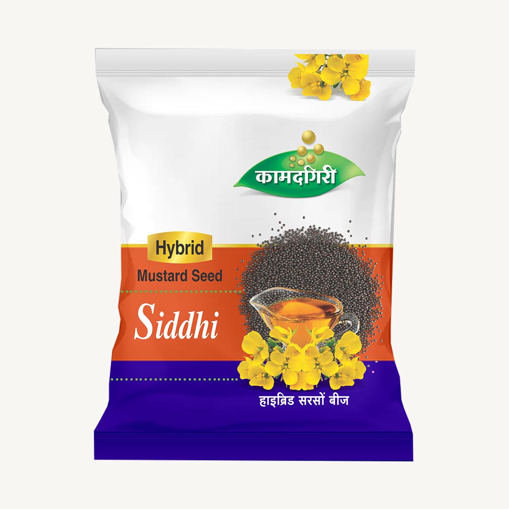 Hybrid Mustard Seed Siddhi