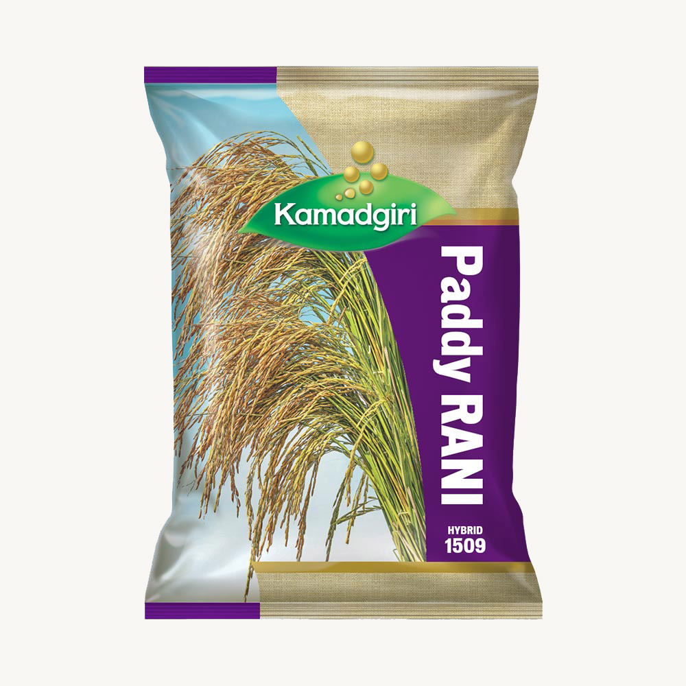 Paddy Seed Rani