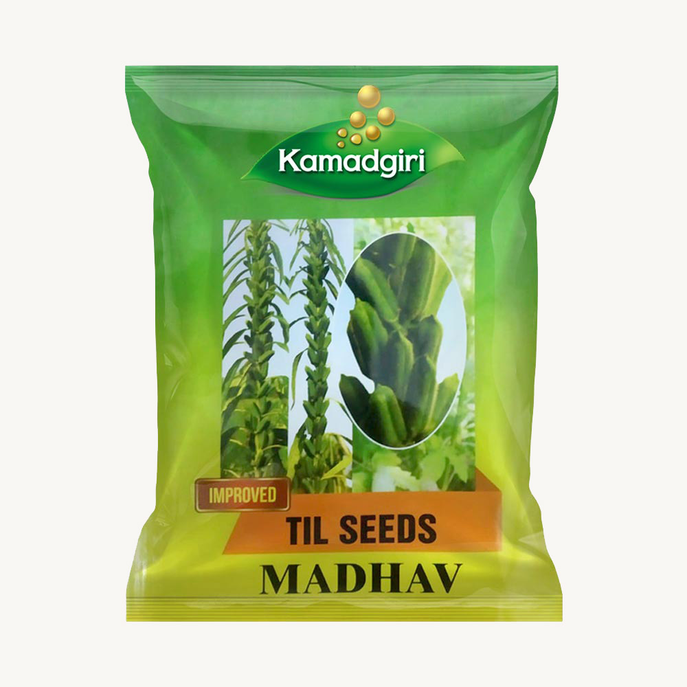 Til Madhav