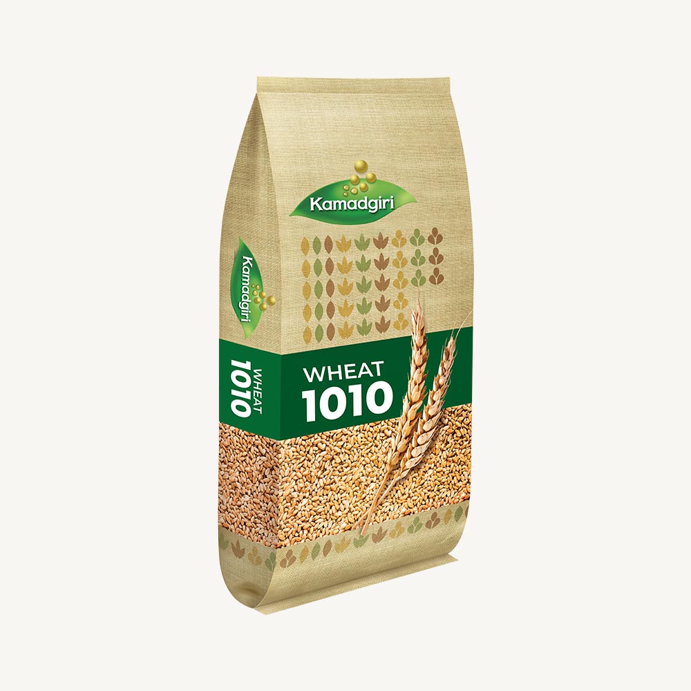 Research Wheat Seed 1010