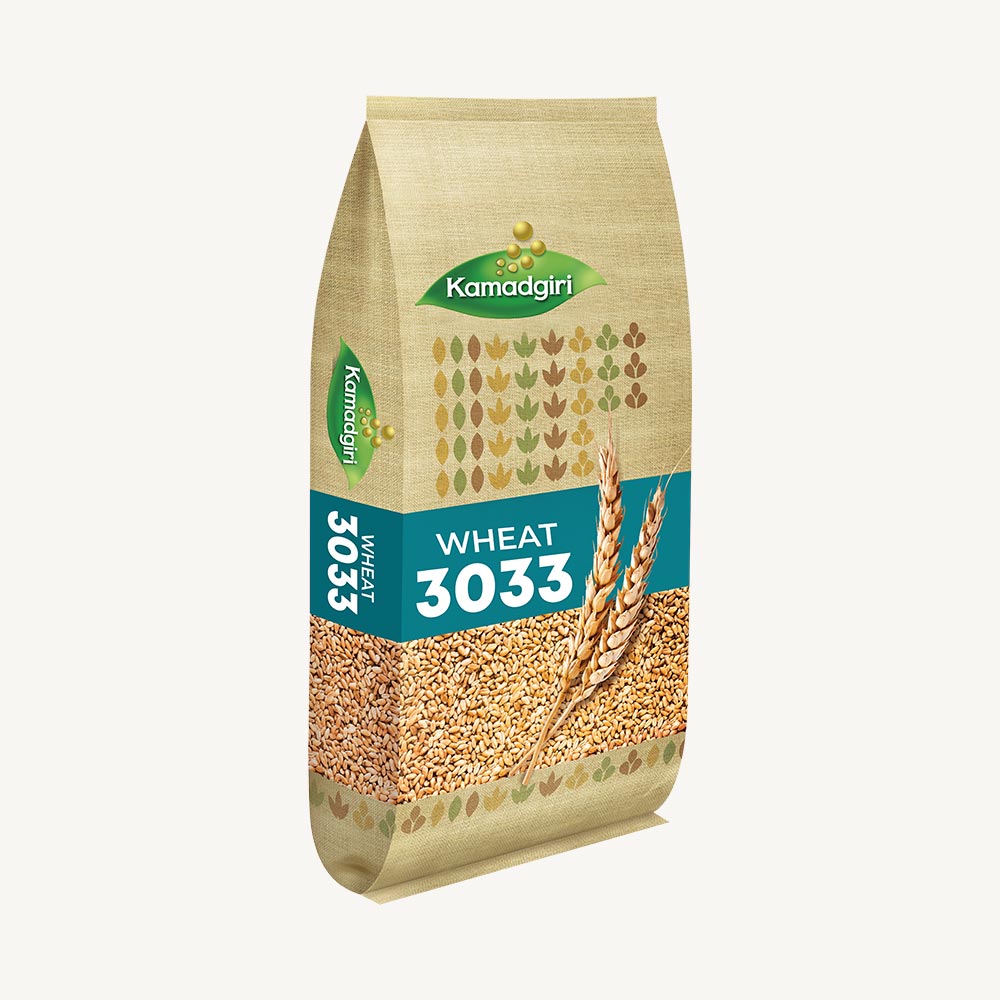 Research Wheat Seed 3033