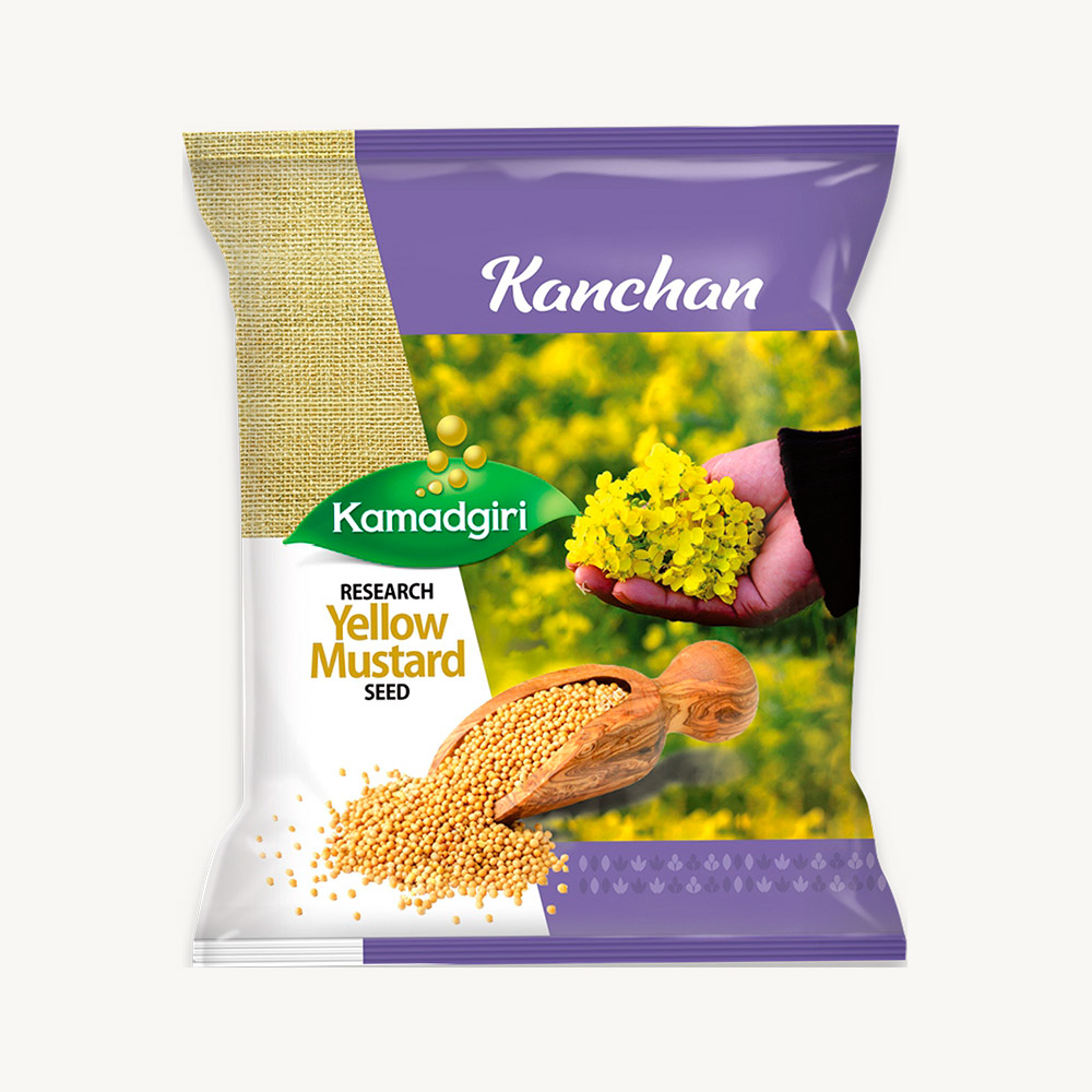 Peeli Sarso Kanchan