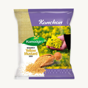 Mustard-Kanchan