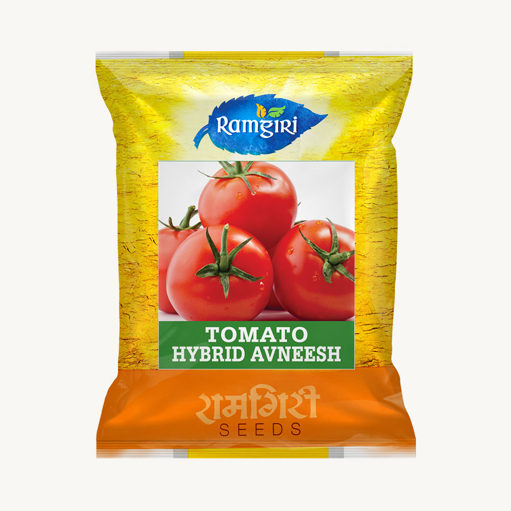 Tomato Avneesh Hybrid
