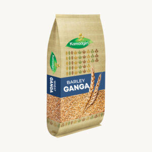 Barley Wheat Ganga