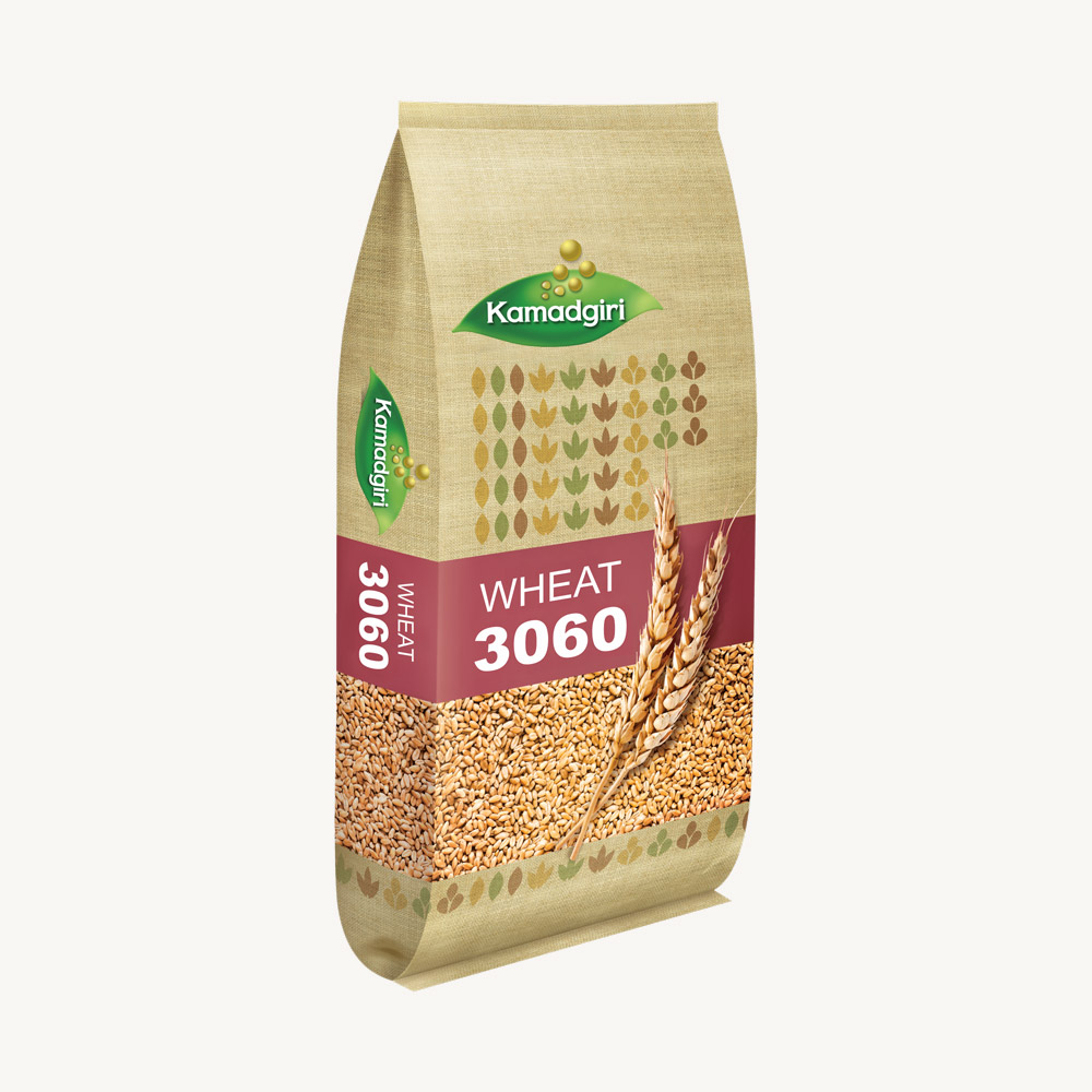 Research Wheat Seed 3060