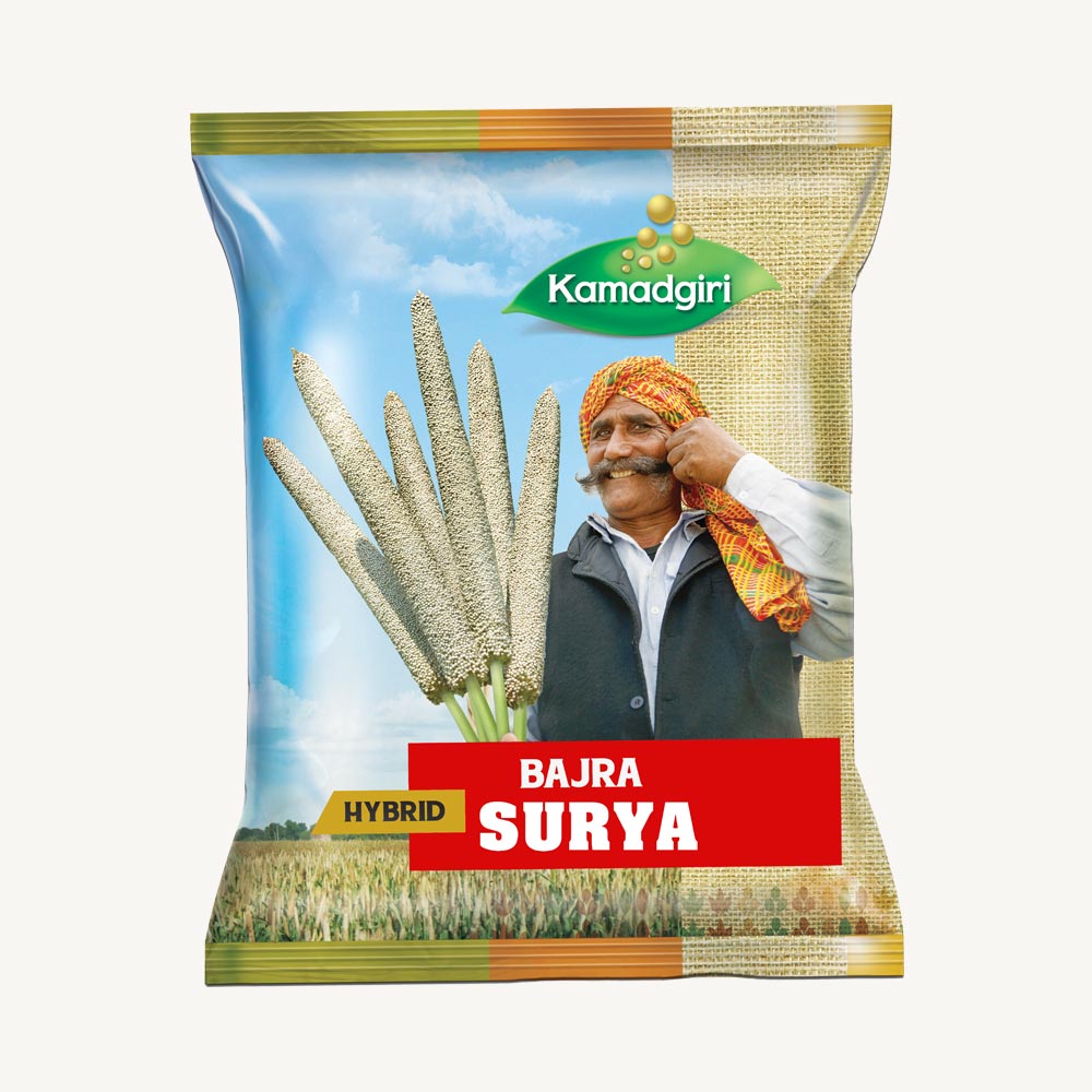 Hybrid Bajra Surya