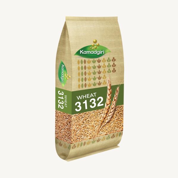 Research Wheat Seed 3132