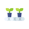 own-plant