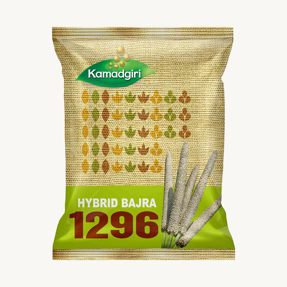 Hybrid Bajra 1296