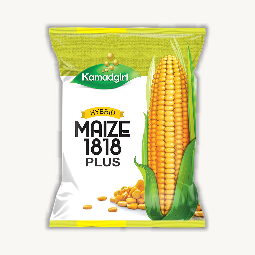 Hybrid Maize 1818-plus