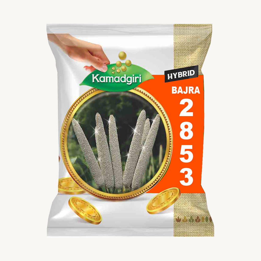 Hybrid Bajra 2853