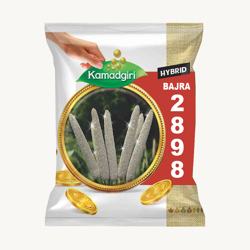 Hybrid Bajra 2898