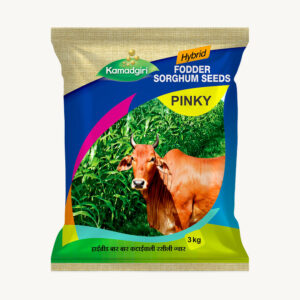 Fodder Sorghum PINKY
